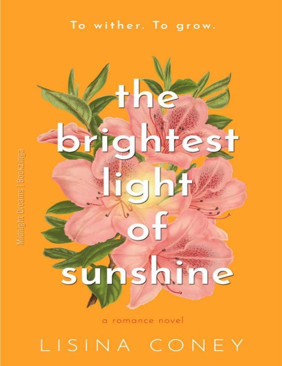 Portada de The Brightest Light of Sunshine